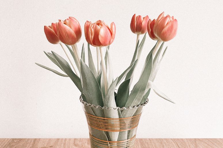 tulipas no vaso decorativo