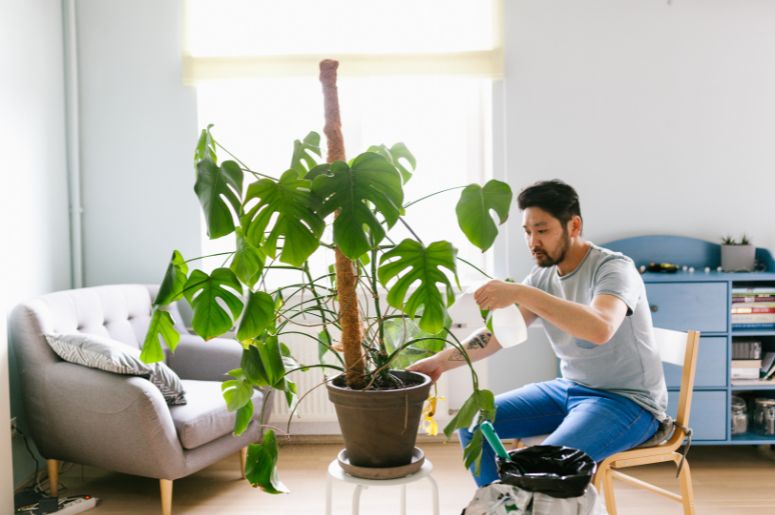 homem regando a planta