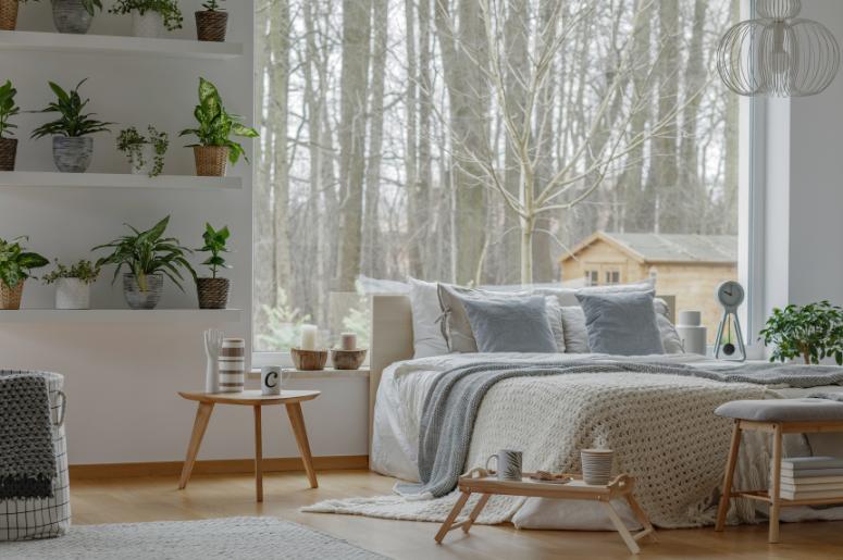 quarto cinza com plantas