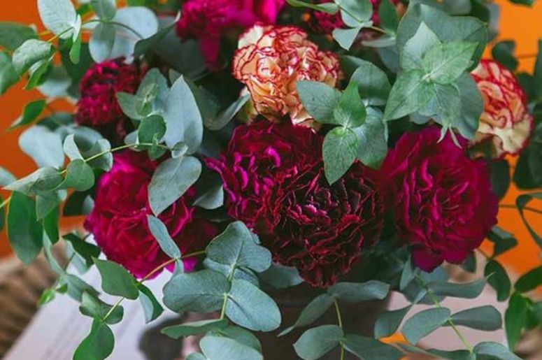 flor cravo vermelho