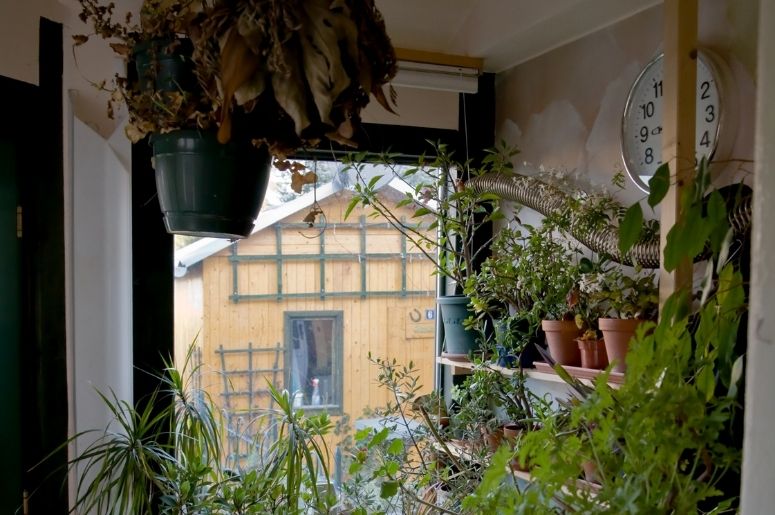 jardim de inverno