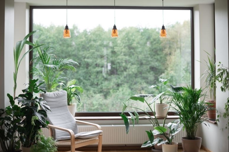 jardim indoor