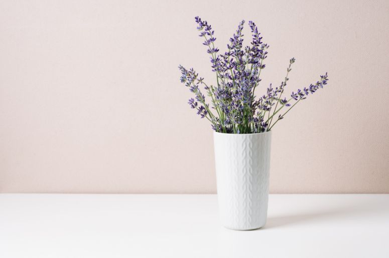flor lilás no vaso