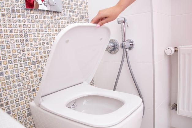 Assento sanitário termofixo
