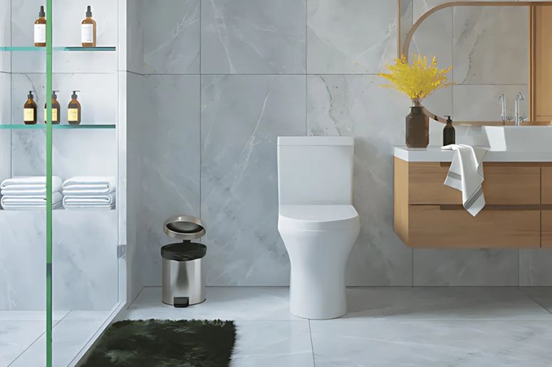 Vaso sanitário com caixa acoplada