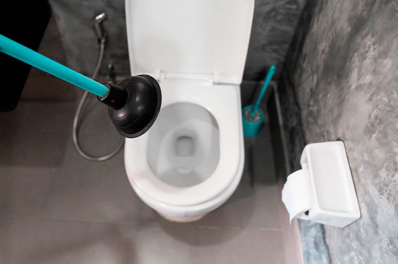 desentupindo o vaso sanitário