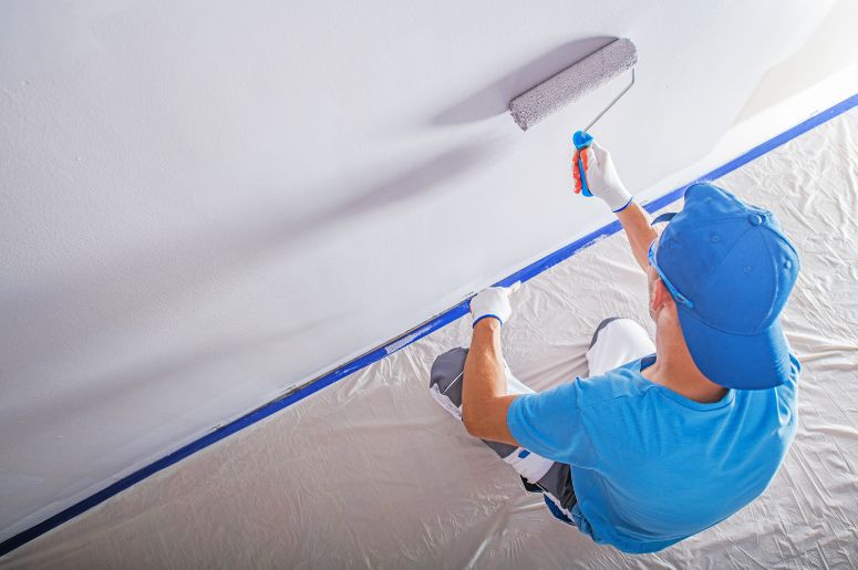 pintor profissional
