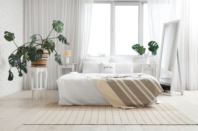 quarto com plantas Costela de Adão