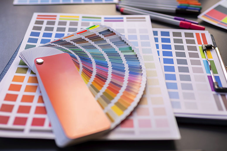 Cartela de Cores