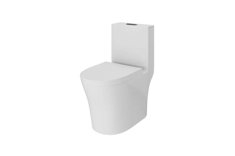 Vaso sanitário monobloco