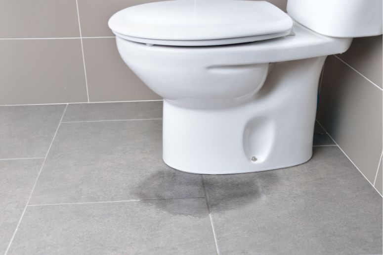 Vaso sanitário com vazamento