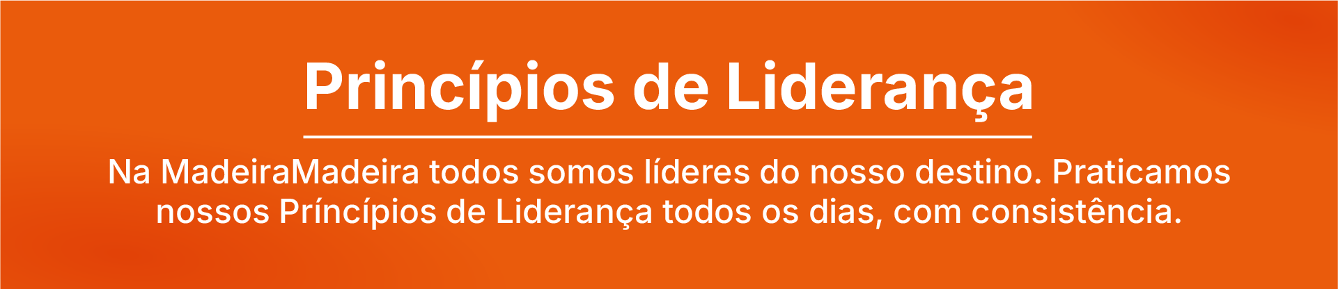 Princípios de Liderança