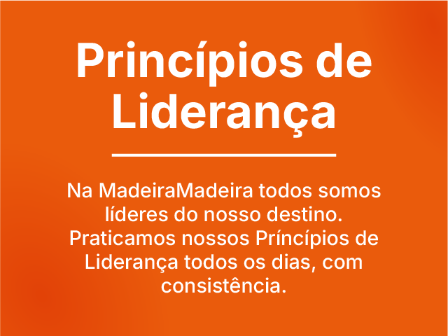 Princípios de Liderança