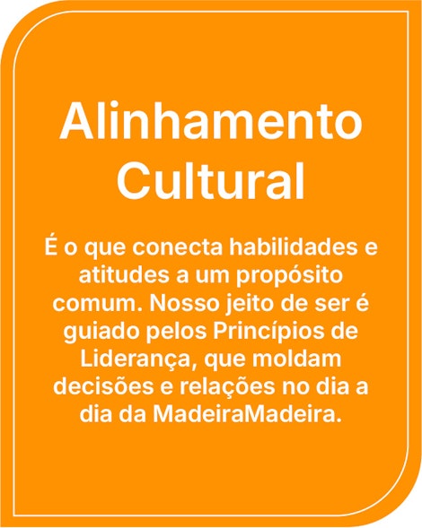 Alinhamento Cultural