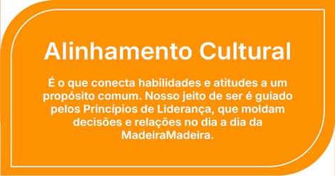 Alinhamento Cultural