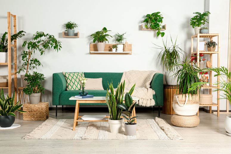 Casa com decora&ccedil;&atilde;o org&acirc;nica 