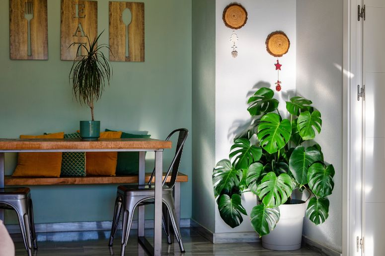 Cozinha com estilo org&acirc;nico