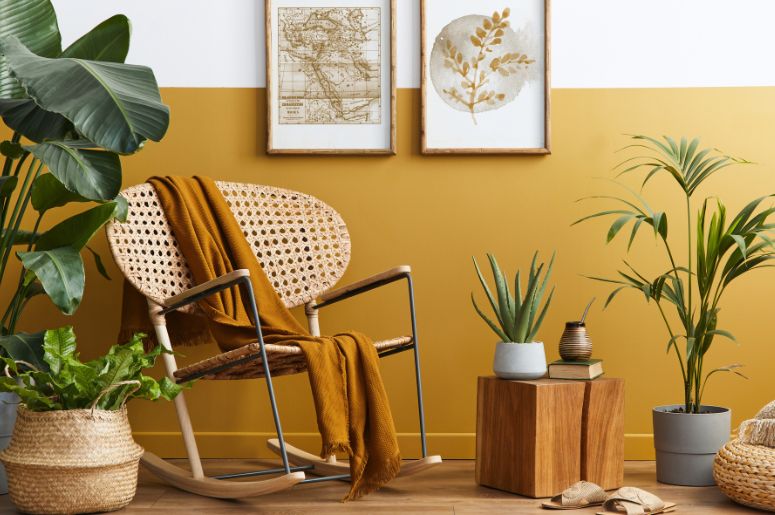 Sala com cadeira de madeira e decora&ccedil;&atilde;o com plantas 