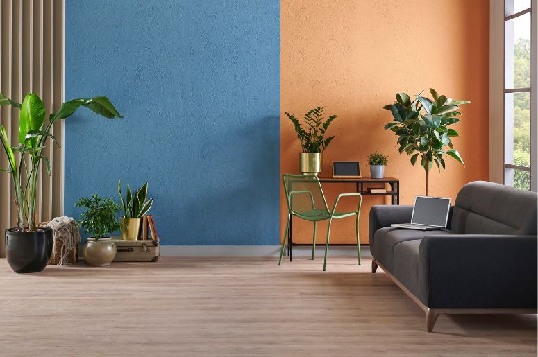 Casa com piso de Madeira e parede colorida 