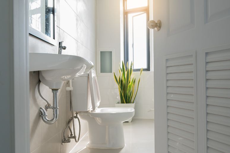 Banheiro decorado com plantas e porta branca 