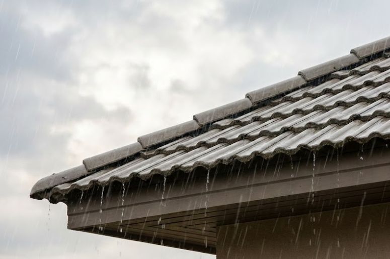  Casa com telhado  sendo molhado por chuva