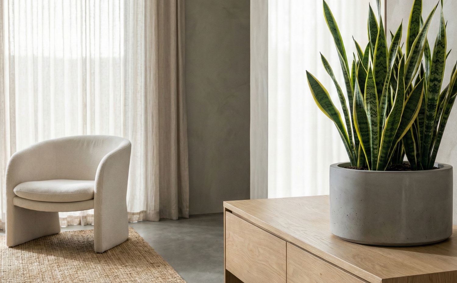 Sala decorada com Espada-de-s&atilde;o-jorge