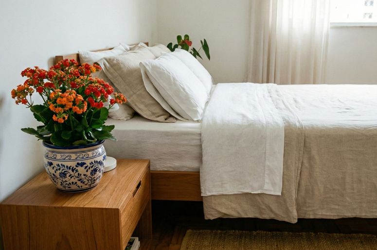 Quarto com flor-da-fortuna na decora&ccedil;&atilde;o