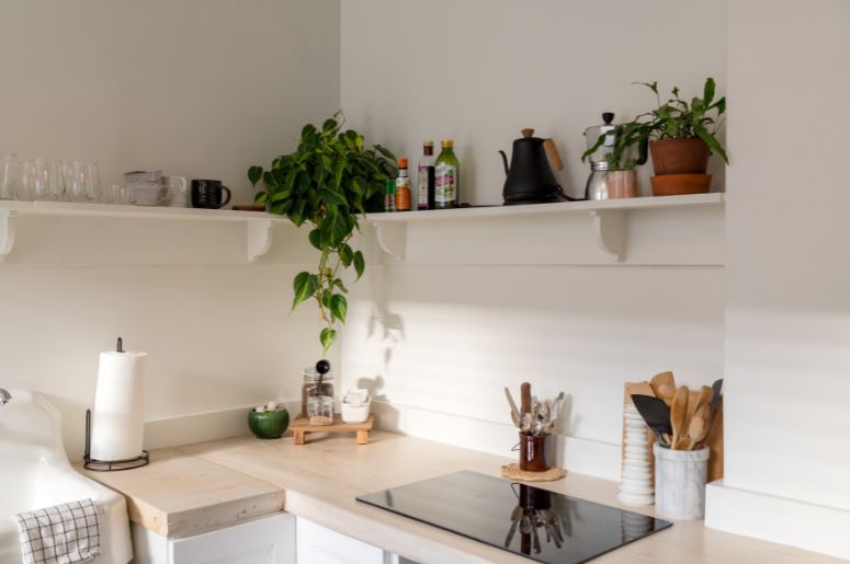 Bancada de cozinha em madeira clara com cooktop preto, prateleiras suspensas brancas e plantas decorativas Mostrar menos