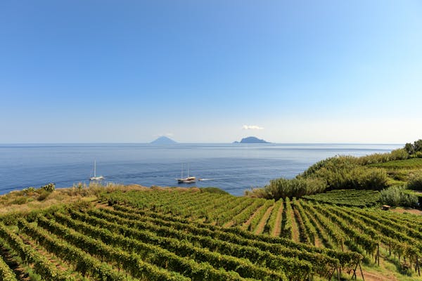 Introducing the next chapter of Certa