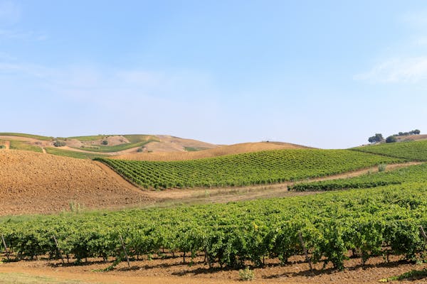 Summer in Sicily: Sallier de La Tour