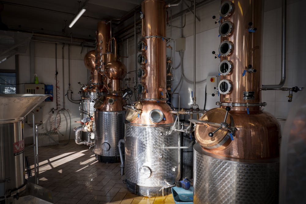 Visit & Taste Visit & Taste