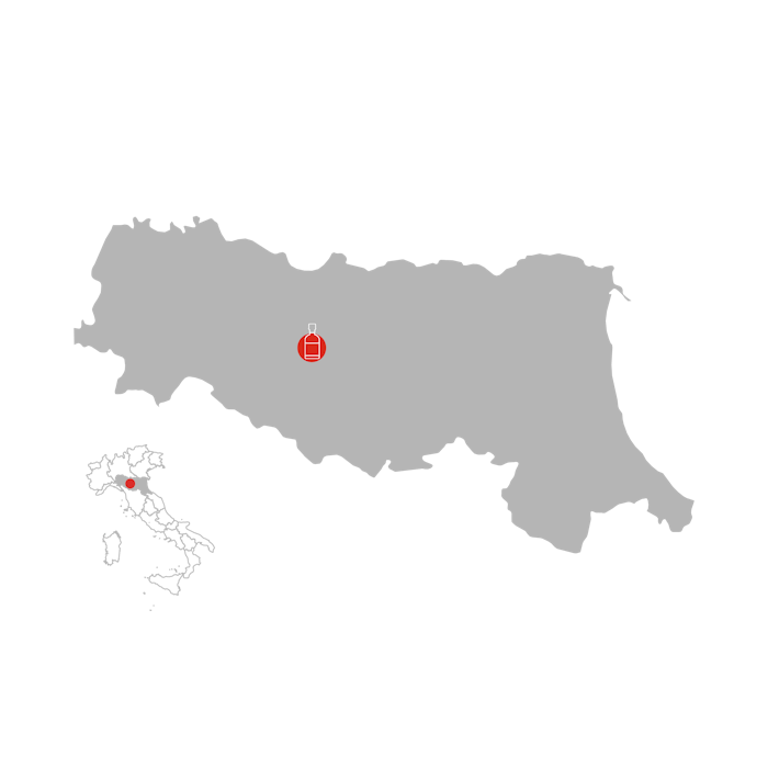 Il Borgo del Balsamico Il Borgo del Balsamico