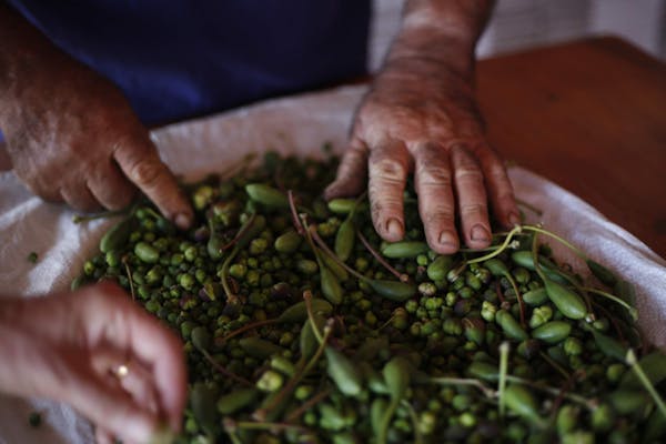 How to create a perfect G&T (it’s not what you think)