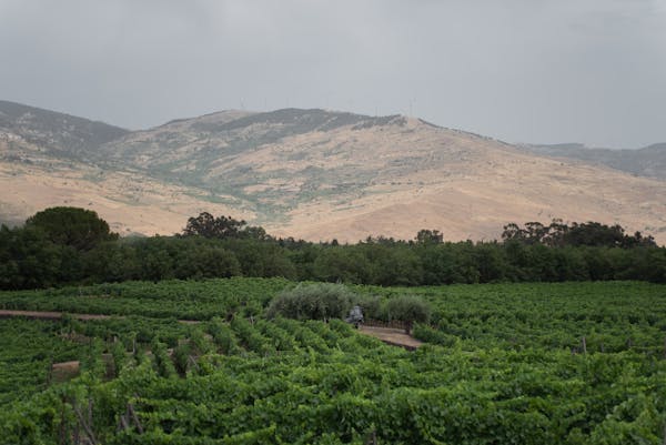 The Sicilian Highlands The Sicilian Highlands