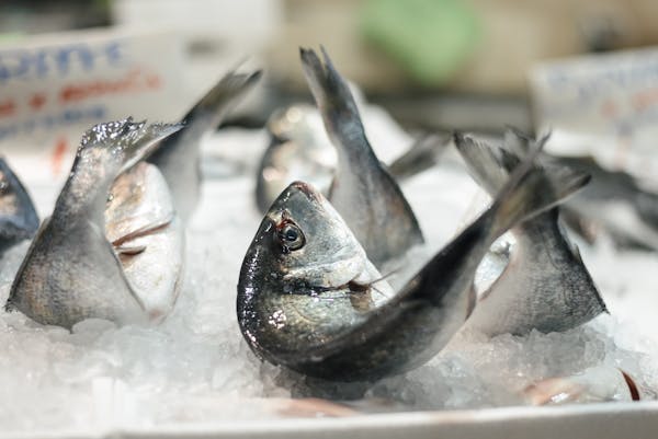 The Magic of Sardinia