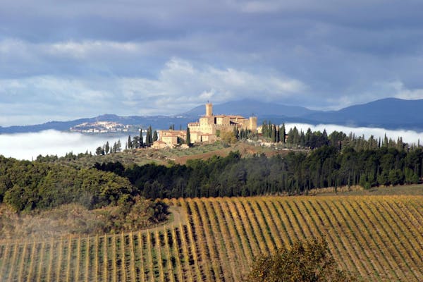 From Montalcino to Brunello