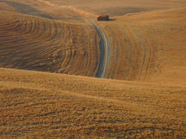 Montalcino: beyond the Brunello 