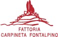 Fattoria Carpineta Fontalpino