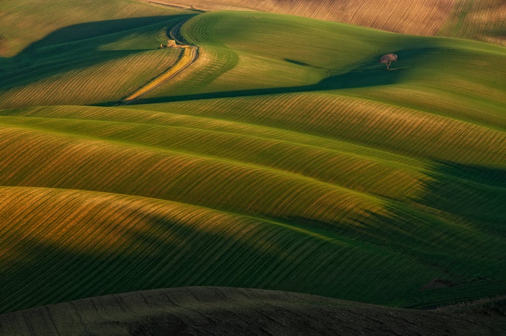 Molise Molise
