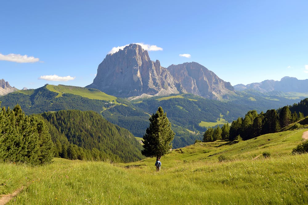 Trentino Alto Adige Trentino Alto Adige