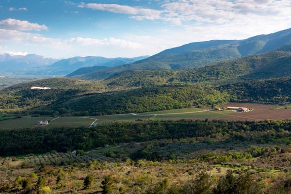 Introducing Valle Reale