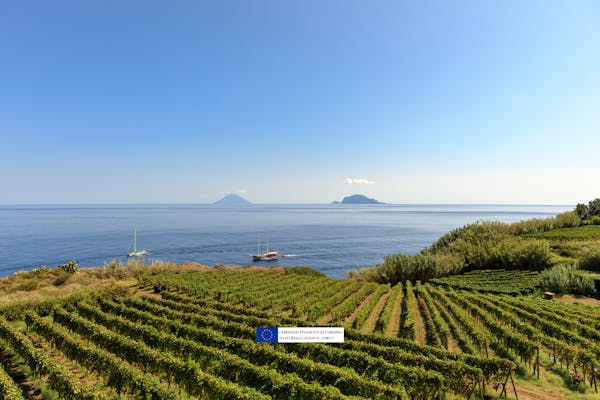 Capofaro: an extraordinary vineyard overlooking the sea