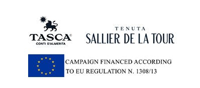 Sallier de La Tour