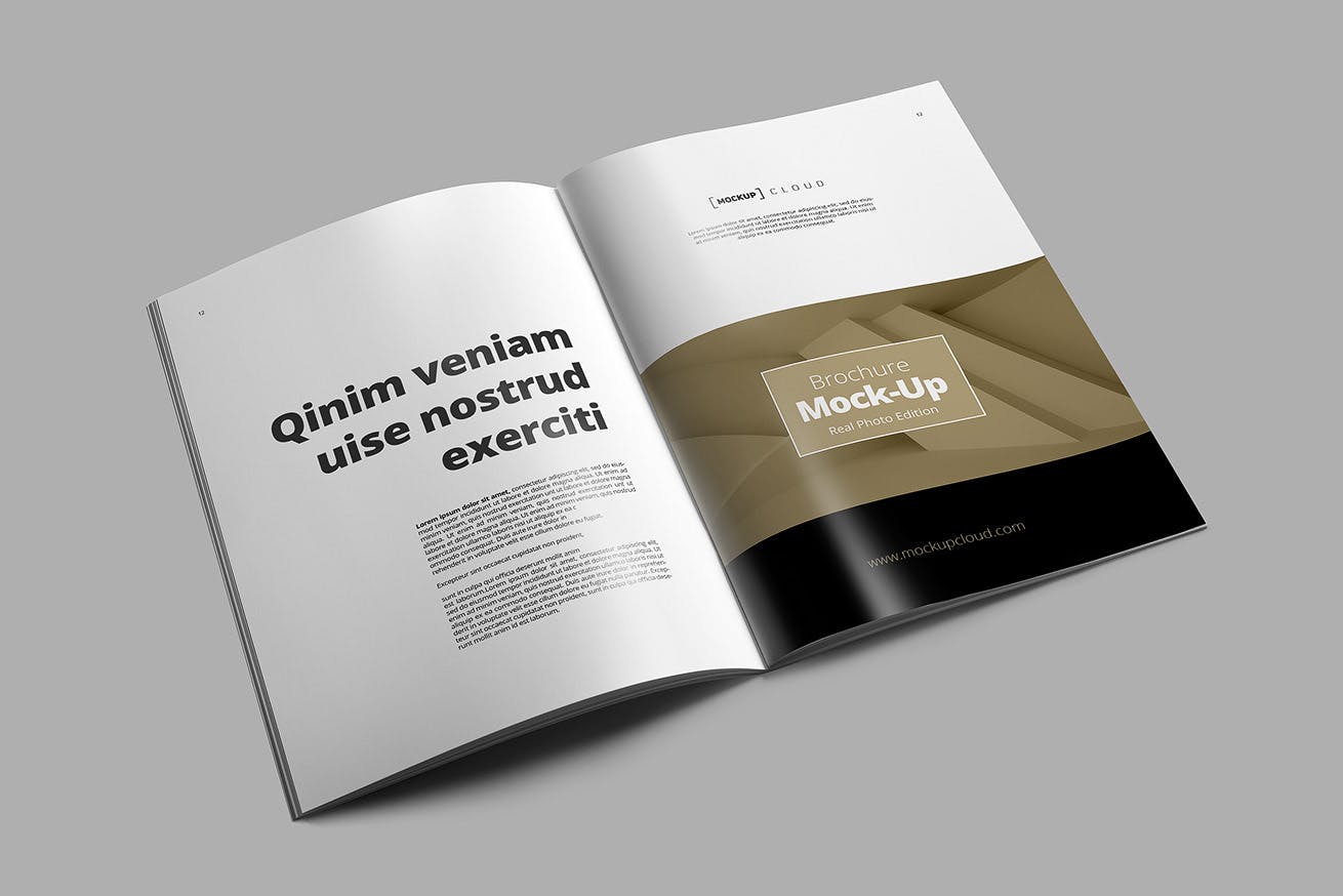 Gray synthetic pullover