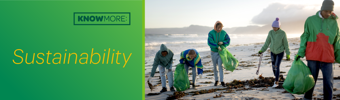 Sustainability: beach clean-up
