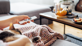 Porno gozal sargish trans