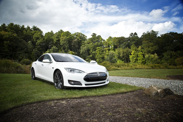 hvid tesla i skov
