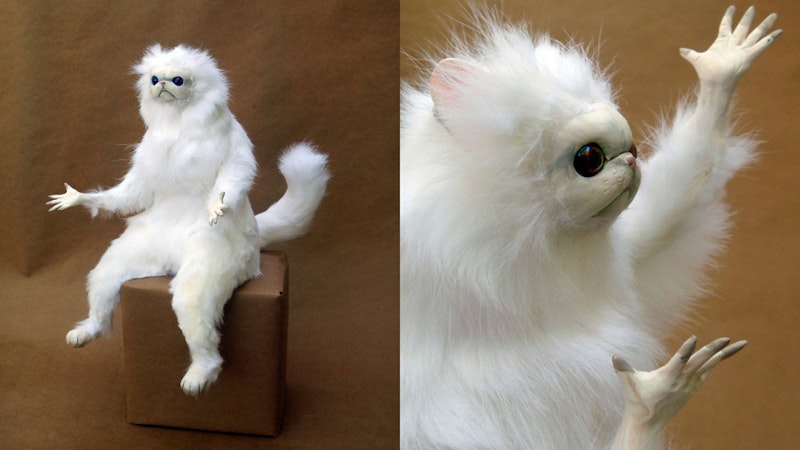 Why tho cat meme, a strange white cat with hands outstretched asking "whhhhyyy?"