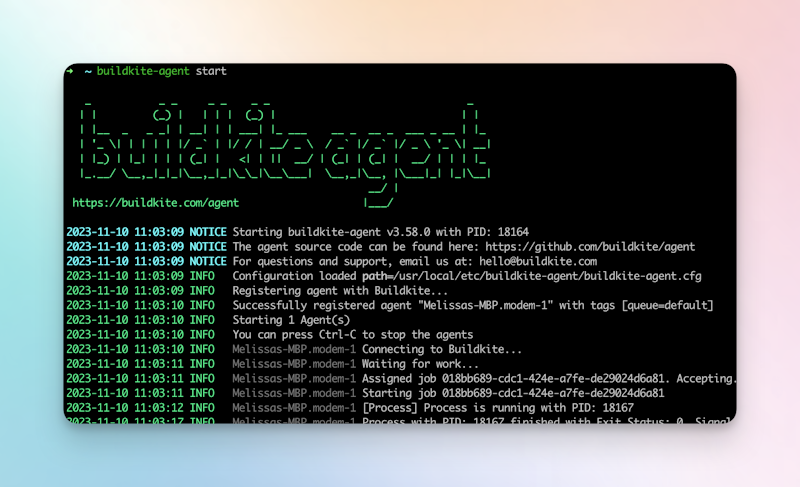 Showing the logs in the local terminal, that verify the agent is now running.