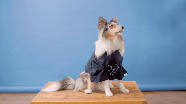 Oliver modelling the new Buildkite Constellation tee in navy